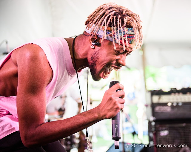 Neon Dreams at Riverfest Elora 2017 at Bissell Park on August 20, 2017 Photo by John at One In Ten Words oneintenwords.com toronto indie alternative live music blog concert photography pictures