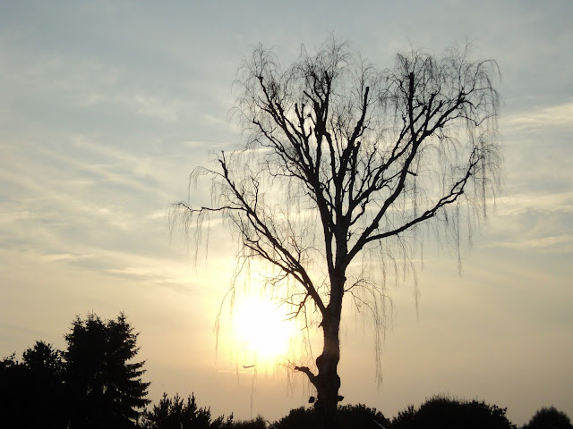 Guida Brito; Navegantes de Ideias