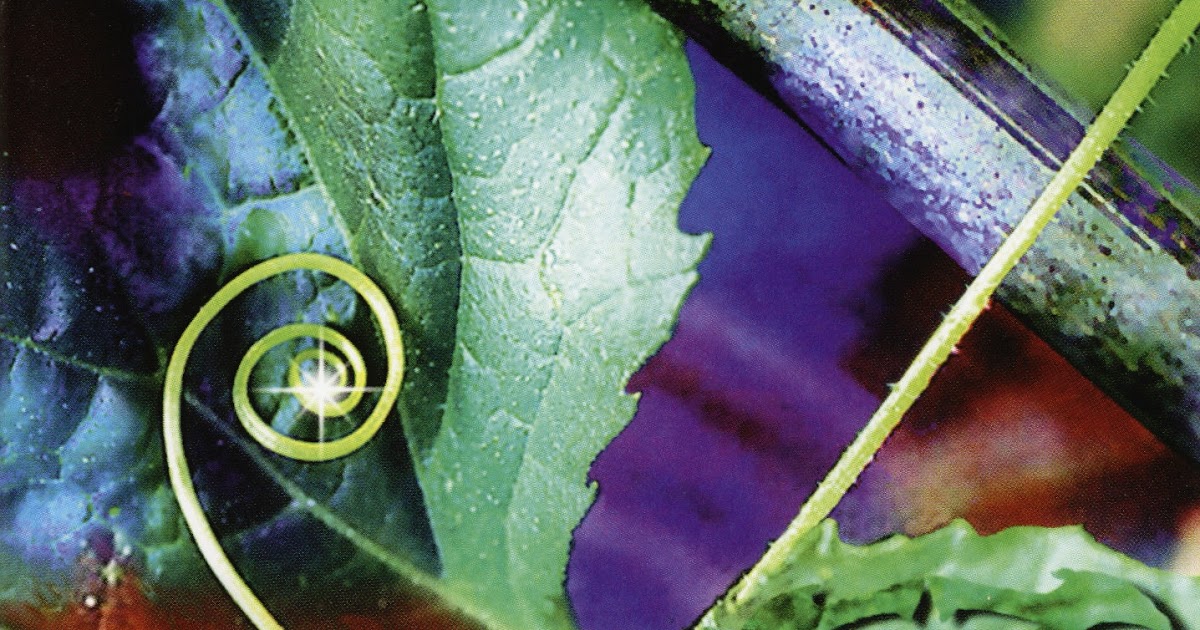 Nightmare be thy Name Evil Wings Brightleaf (1996)