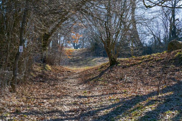 Drei-Seen-Tour Freiensteinau | Extratour Vogelsberg | Wandern in Hessen 20