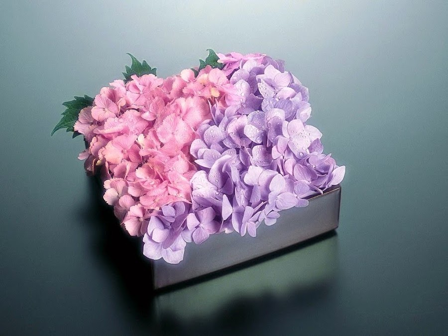 flores el día de la mujer, flores en Rusia, flores populares en Rusia, flores regalar Rusia