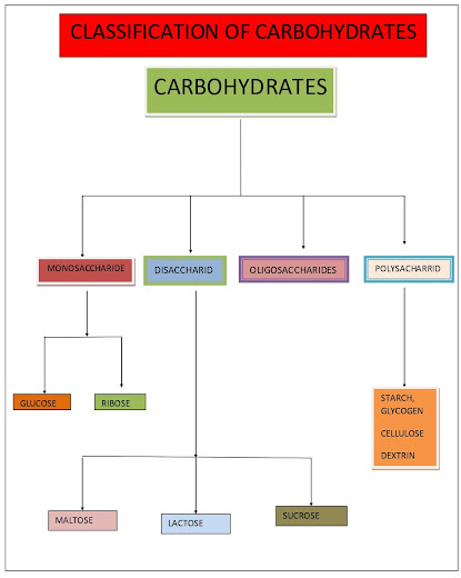 carbohydrates and its classification