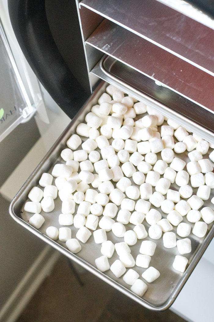 How to Make Dehydrated Marshmallows (And How to Freeze Dry Them Too