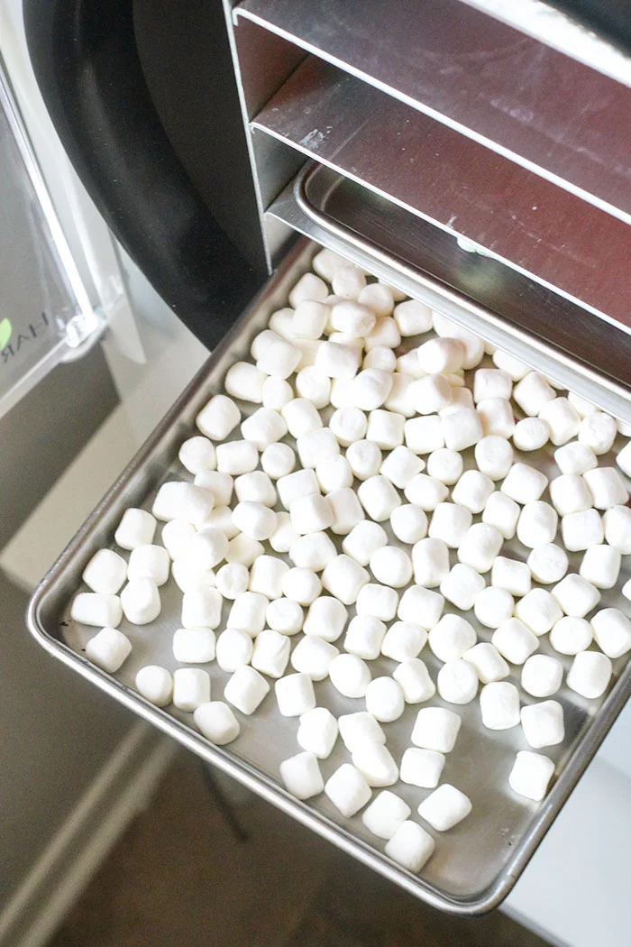 How to Make Dried Marshmallows (Oven, Dehydrator, Air Fryer, Freeze Dry