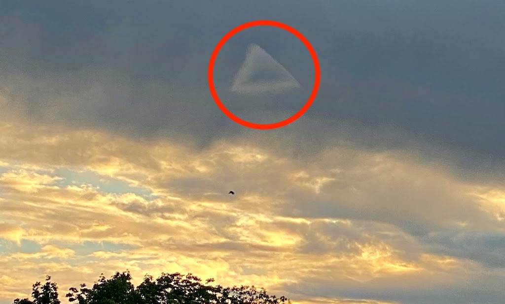 Nlo 5utra chapman зима