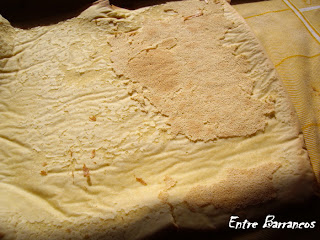  Brazo gitano de mar 