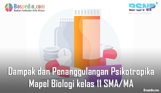 Materi Dampak dan Penanggulangan Psikotropika Mapel Biologi kelas 11 SMA/MA