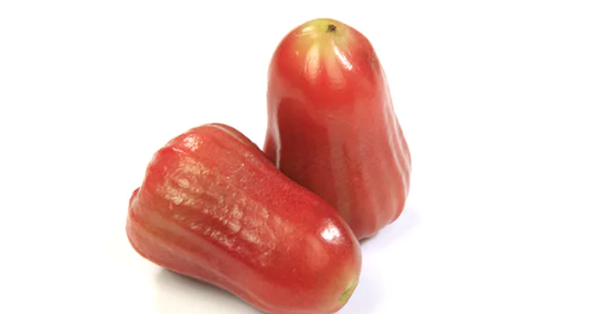 Erek Erek Buah Jambu Air 2d 3d 4d Menurut Buku Mimpi Erek Erek Erek Erek Buah Jambu Air 2d 3d 4d Menurut Buku Mimpi Erek Erek