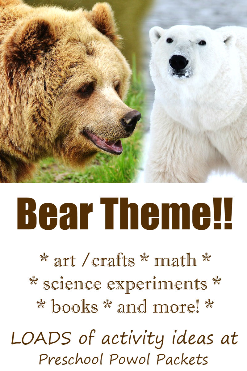 Bear Theme Science Experiments and Activities for Preschoolers