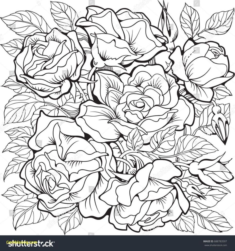 Coloring Pages Roses ~ Coloring Print