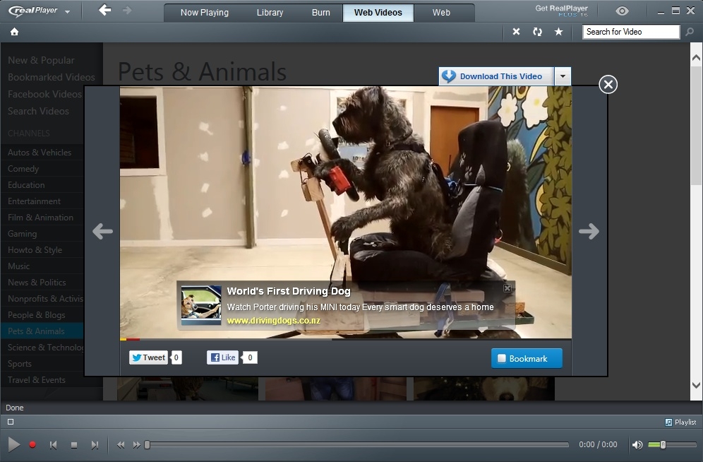 realplayer download youtube