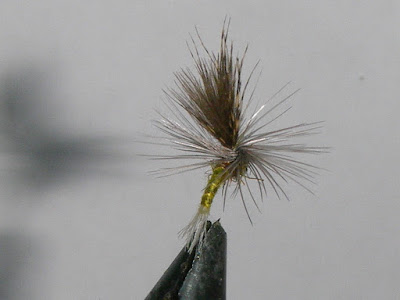 Mosche Artificiali Trota Damigella Blu E Oliva Confezione Da 12 Ninfte