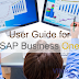 User guide for SAP Business One