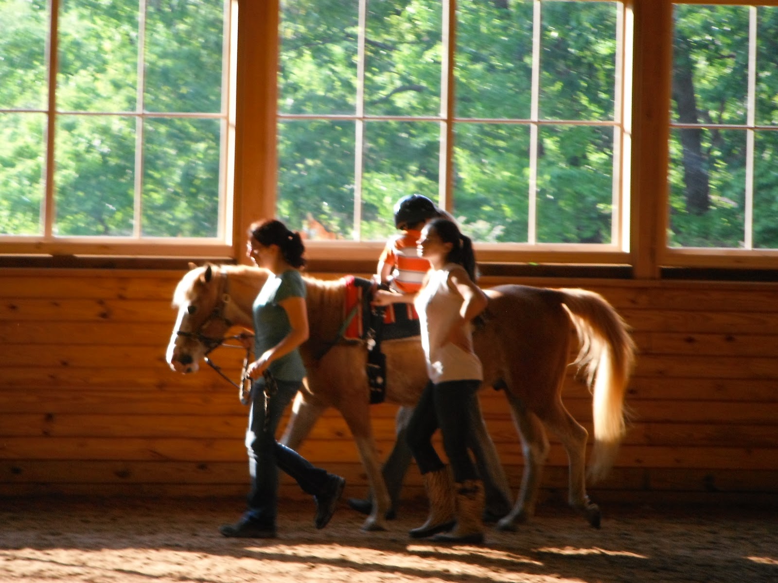Around the World at Hippotherapy