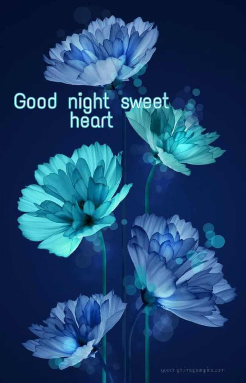 good night images download good night images download