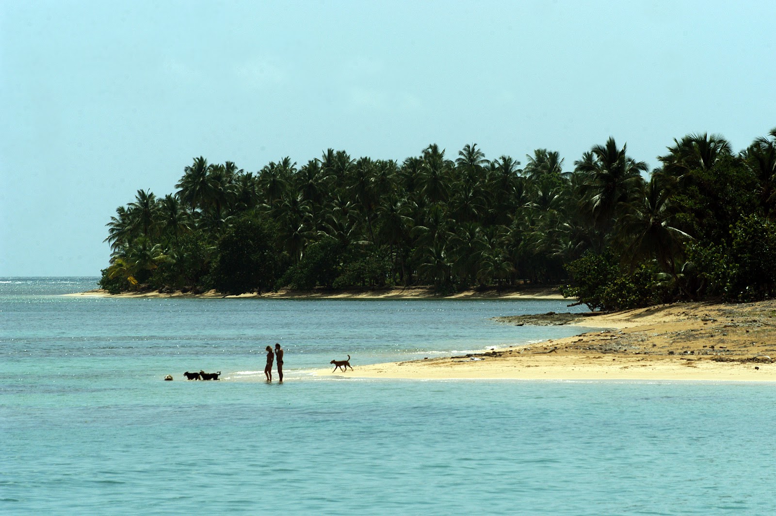 Inmuebles en RD Excelentes Propiedades En Las Terrenas, Samana