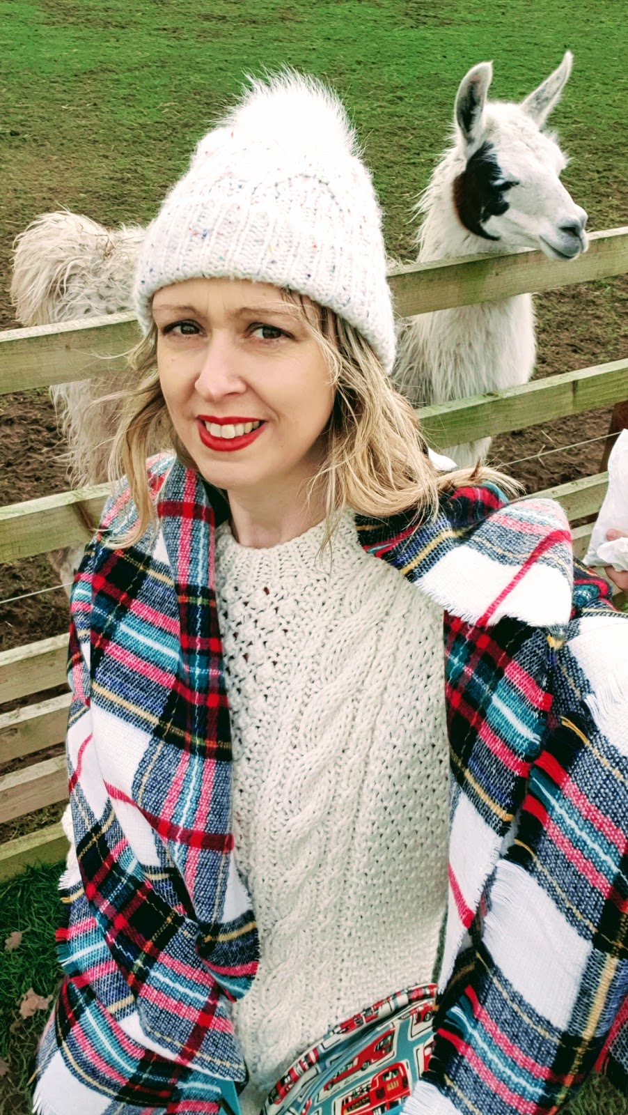 But First Llama Take A Selfie | Cosy Jumper, Woolie Hat And Tartan Scarf
