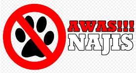 Sah Solat Jika Terkena Najis Yang Dimaafkan Mdruzai