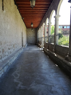 La vida en el muérdago