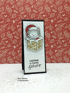 Tiny Little Card a card by Diane Morales. | Stamps by Newtons Nook Designs