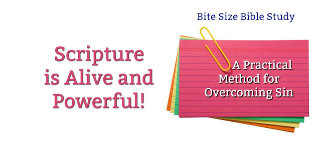 This short, "Bite Size" Bible Study offers a practical way to overcome bad habits...a biblical way that works! #BibleStudy