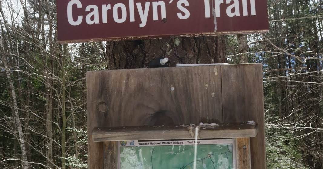 Wilderness Backpacking North Pack Monadnock Mountain