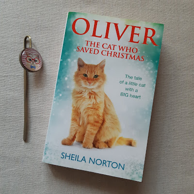 oliver-cat-saved-christmas