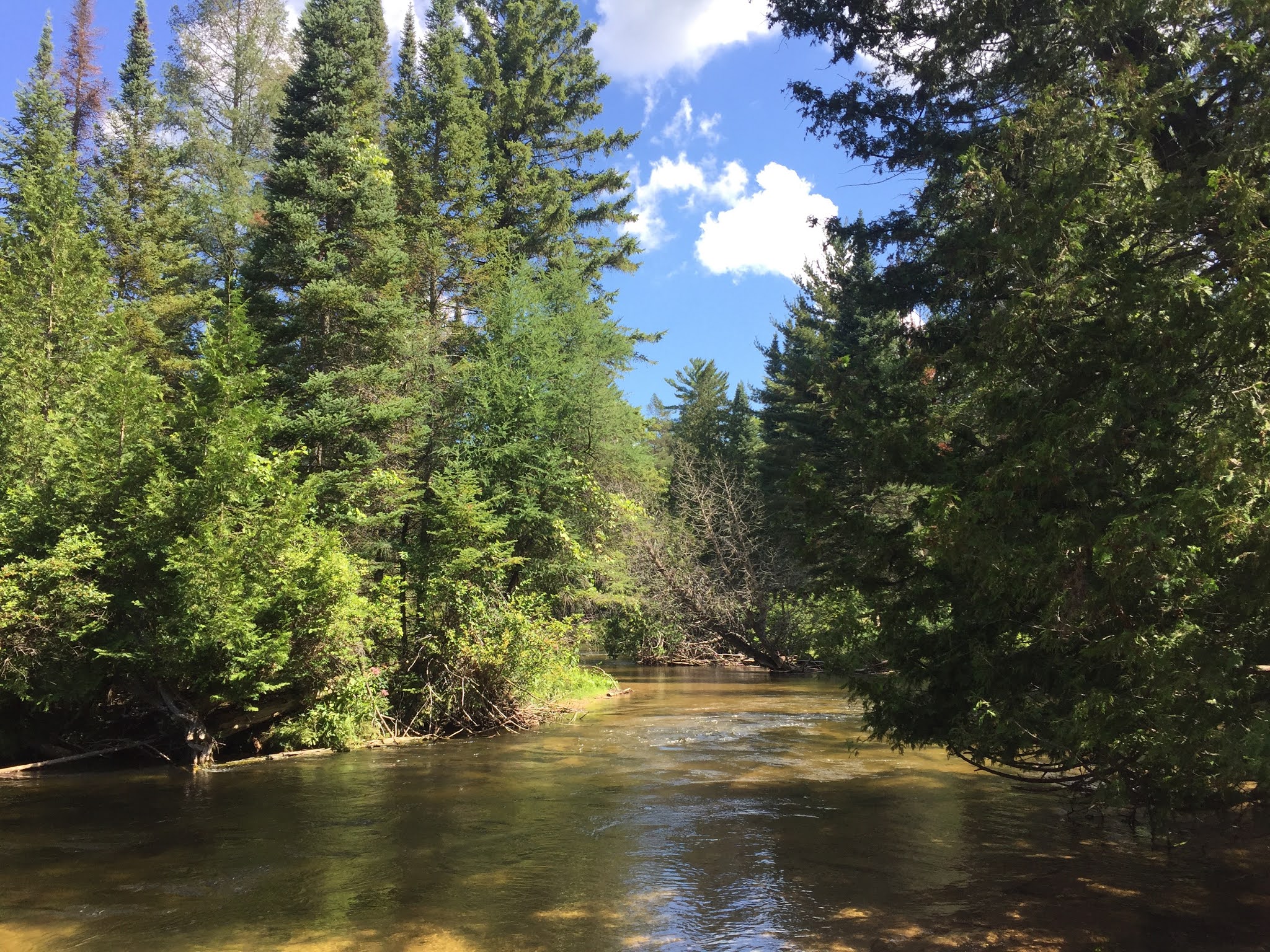 Travel Reviews & Information Mancelona and East Jordan, Michigan