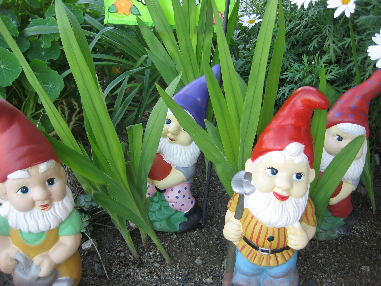 52andNew Week 7 Gussyin� Up Our Garden Gnomes