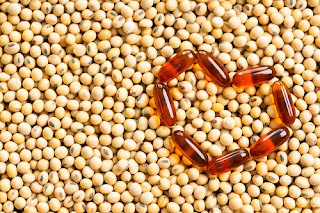 Brown Lecithin Capsules in a Heart Shape on Soybeans