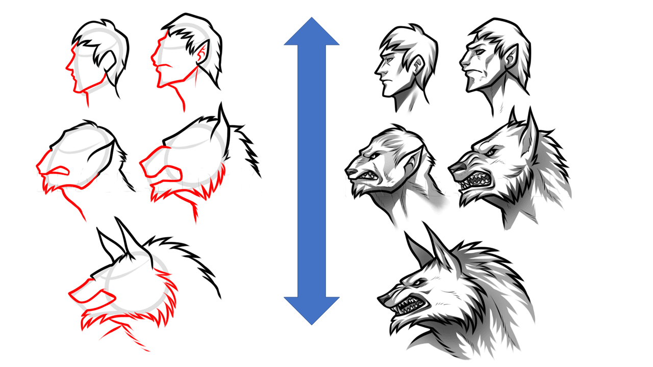 Dibujar a un hombre lobo en poco pasos