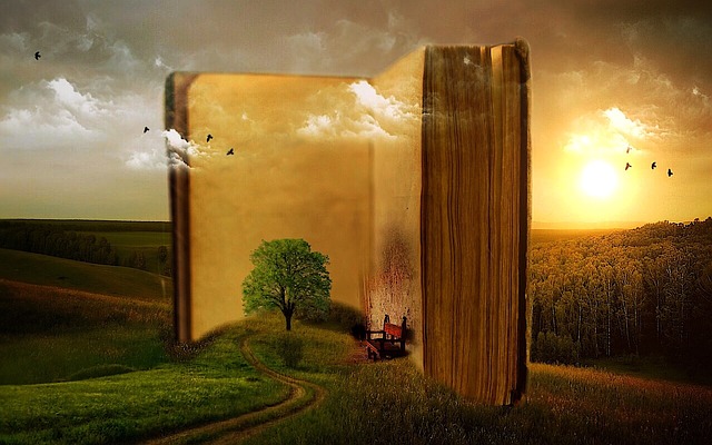 Immagine