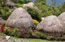 Suku Dani Berasal Dari Provinsi Papua Tujuwan Com Suku Dani Berasal Dari Provinsi Papua Tujuwan Com