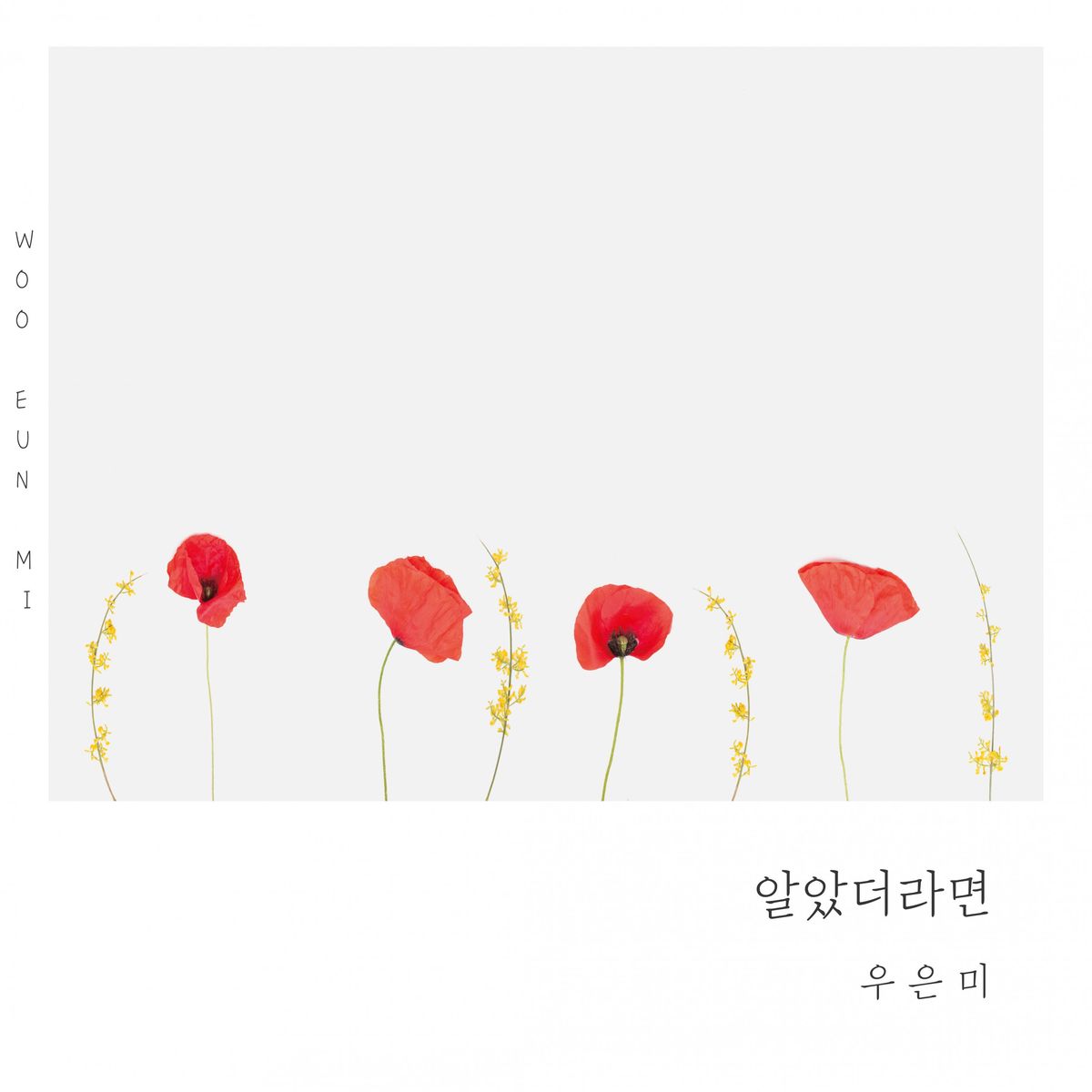 Woo Eun Mi – 알았더라면 – Single
