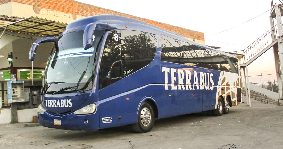 buses terra tour express