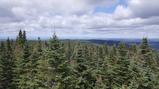 Vue à partir de la tour au sommet du mont Saint-Magloire