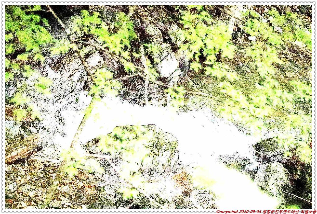 오대산 적멸보궁 오대산 적멸보궁