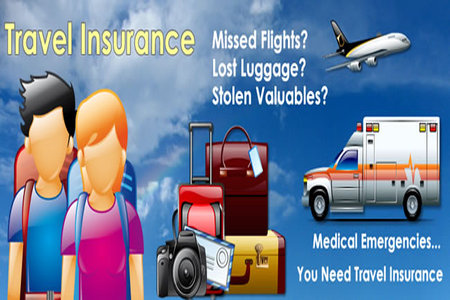 traveler insurance