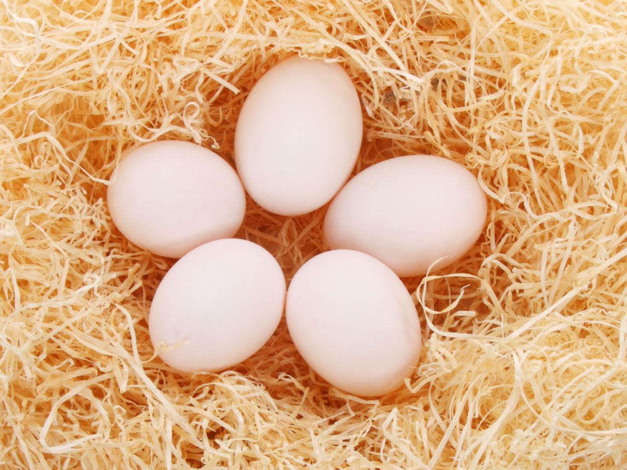 Фотки яичек. Яйцо куриное. Домашние куриные яйца. Яйцо 5 шт. 5 Яиц.
