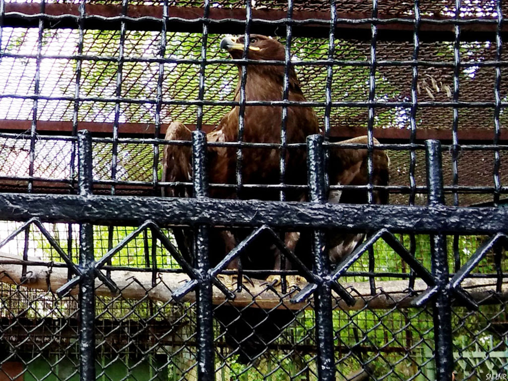 Луганский зоопарк Луганский зоопарк