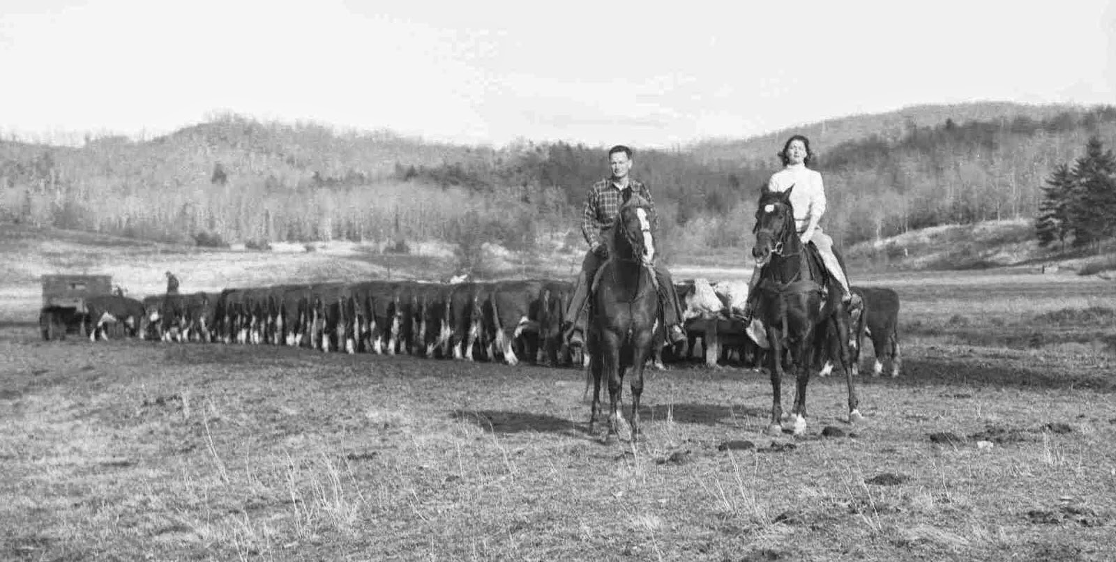 The Rowell Bosse North Carolina Room Prominent Citizens Owned Glen Cannon