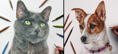 00-Angie-A-Pet-and-Wildlife-Pencil-Drawing-Artist-www-designstack-co