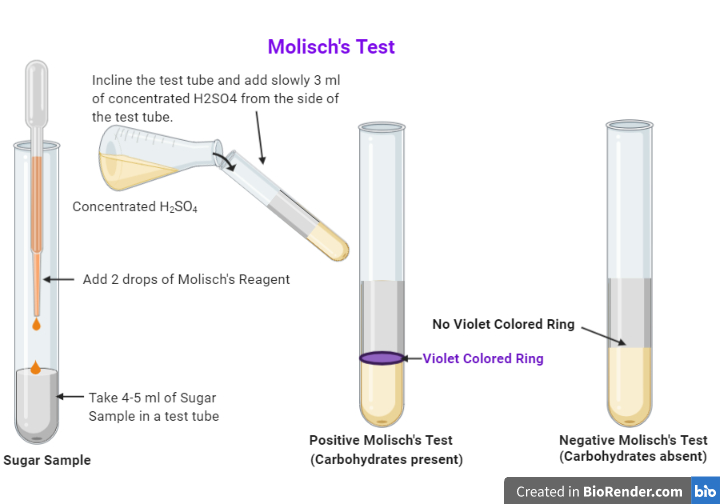 Molisch's Test Definition, Principle, Procedure, Result, Uses