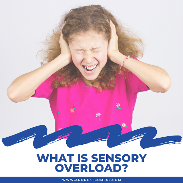 What is Sensory Overload? And Next Comes L Hyperlexia Resources