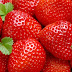 Mengejutkan, Selain Kaya Vitamin C Ternyata Begini Manfaat Strawbery Yang Perlu di Ketahui