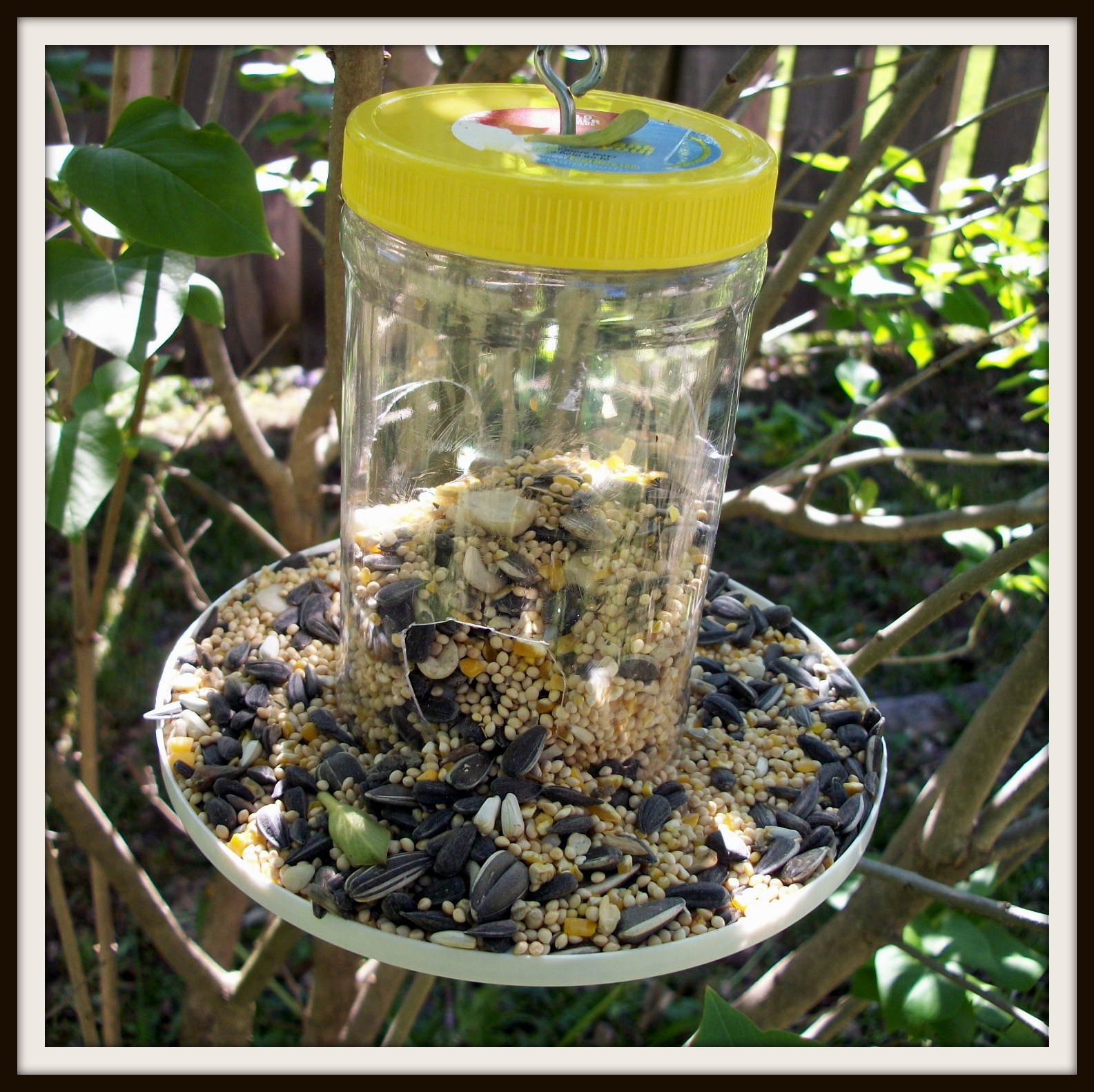 weasinart Thankful Thursday Upcycled Bird Feeder