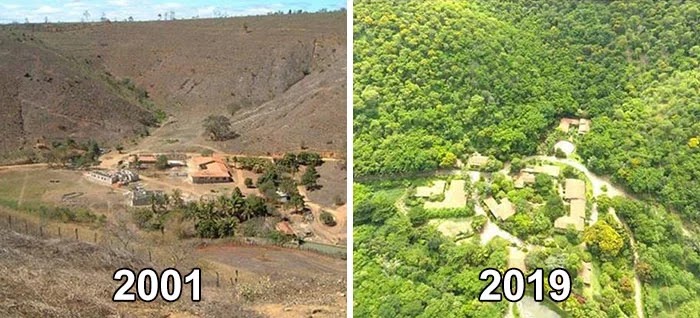 Photographer And His Wife Planted Two Million Trees In 20 Years To Restore A Destroyed Forest