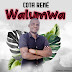 DOWNLOAD MP3 : Cota René - Walumwa (Pandza)