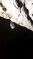 Hacıllı Şelalesi Mağara