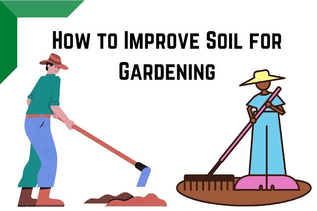 How to Improve Soil for Gardening